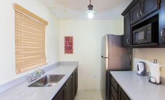New Kingston Guest Apartment IV