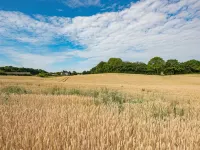 "Edithe" - 250m from the Sea Hotels in Augustenborg