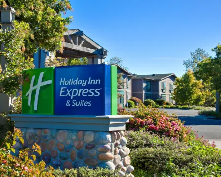 Holiday Inn Express & Suites CARPINTERIA by IHG Hotels in Carpinteria