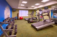帕莎蒂娜阿卡迪亞萬豪SpringHill酒店 - 健身室/gym room