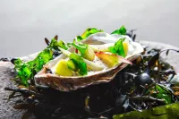 Lindesnes Havhotel - พร้อมอาหารเช้า