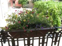 Agriturismo San Martino Hotels in Farigliano