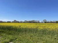 Heide