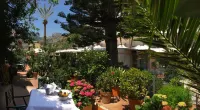 Hotel delle Palme - sul mare
