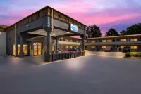Best Western Plains Motel Hotels in Вол