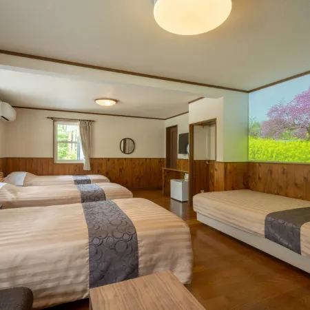 Healing Inn White Pension