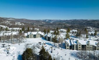 Mountain Lodge at Okemo