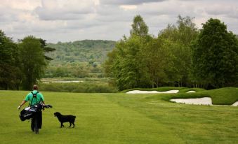 a black dog is standing in a grassy field with trees and water in the background at Crowne Plaza Reading