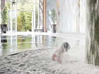 Fota Island Hotel and Spa - Romantic
