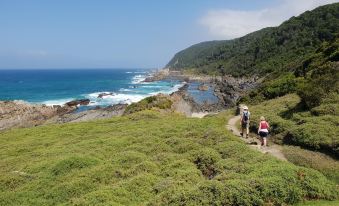 Tube n Axe Lodge and Backpackers