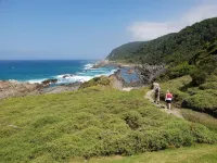 Tube n Axe Lodge and Backpackers - Hostels
