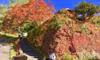 The Otarunai Backpacker's Hostel Morinoki - Housity