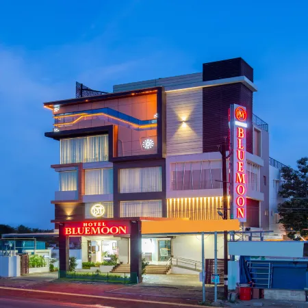 Hotel Bluemoon Отели в г. Тирунелвели