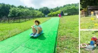 Blue Ridge Hotel Hotels in Toyooka