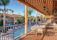 Club Wyndham Dolphin's Cove - Resorts