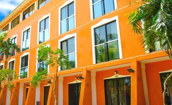 Hotel Paradise Surf