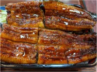 Tabist Hamanako No Yado Kosai Hotels in Kosai