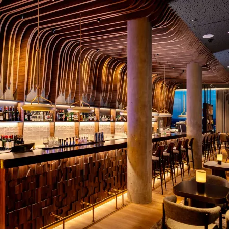 Radisson Blu Hotel at Porsche Design Tower