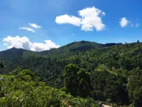 Acon Resorts Kodaikanal