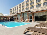 Best Western Plus Barclay Hotel Hotels in Alberni-Clayoquot