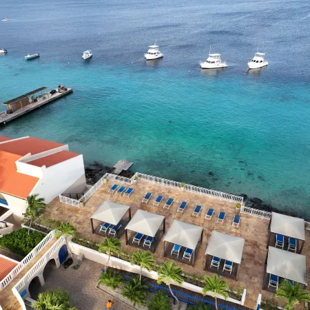 Divi Flamingo Beach Resort & Casino