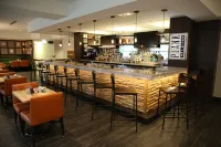 Hotel Indigo NAPERVILLE RIVERWALK by IHG - bar