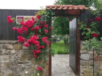 Three Bedroom House with Garden Only 10 km from Veliko Tarnovo - Villas