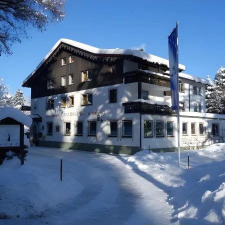 Hotel Waldmann