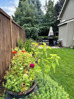 Relax & unwind in sun rm yoga rm & private HOT TUB
