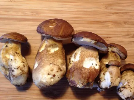 Bright, modern apartment with charm in Dahn Отели в г. Дан