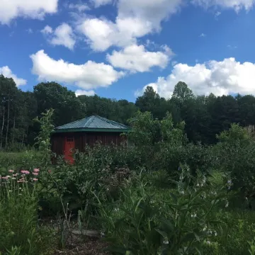 Cozy, Artistic Retreat Surrounded By Waterfalls, Orchards And Gardens