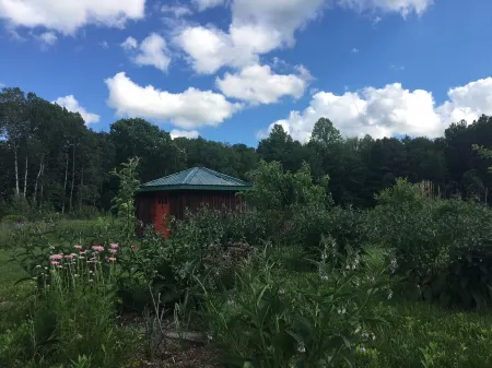 Cozy, Artistic Retreat Surrounded By Waterfalls, Orchards And Gardens