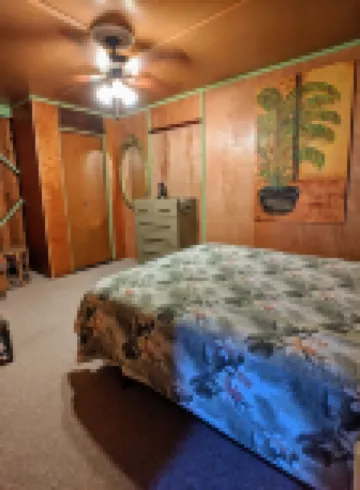 Rain Forest Apartment!