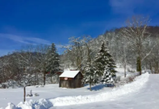 Secluded, Romantic, Family Friendly And Cozy, Last House In The Valley.