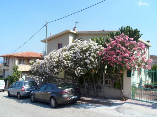 In the paradise of Sardinia,beautiful apartme 400 m from the sea of ​​CalaGonone