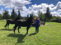 EARLY BIRD RANCH ( Beautiful Country Home Located Near Ellicottville New York ) Hotels in Otto