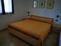 Duplex house with garden