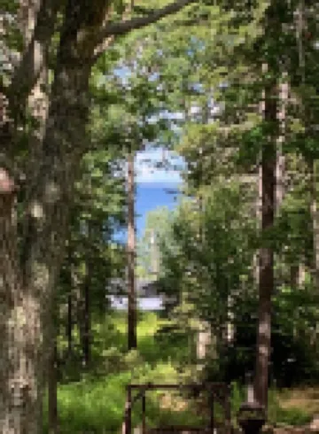 Island log home in Maine with ocean views