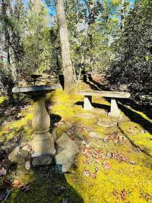 Cozy cabin - hot tub! 1 Mile from down town Helen