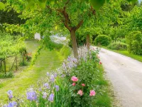 Farmhouse holidays in Umbria, the green heart of Italy, amongst art and nature. Hotels in Spello