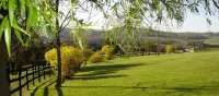 Escape the City! Plain Outside; Gorgeous Inside; Huge Horse/Cattle Farm