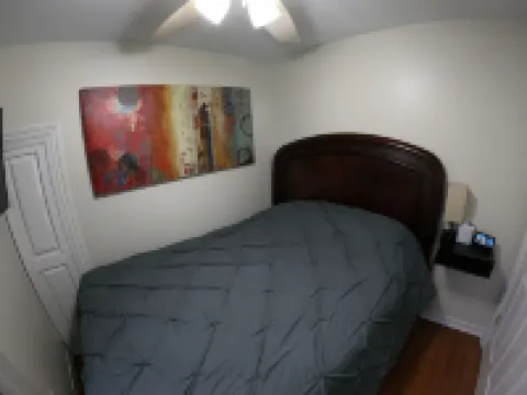 Beautiful Quiet Boston-Edison Historical District