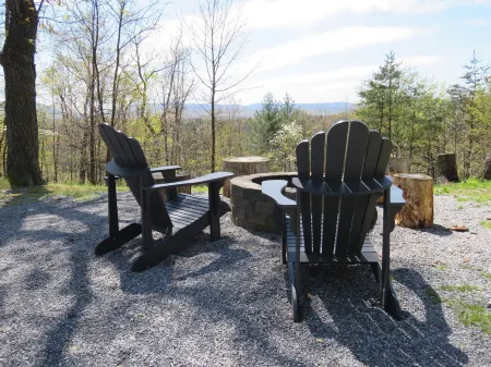 A WELL-APPOINTED CABIN, RURAL RELAXATION, FIREPIT!