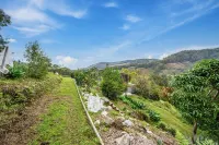 Tranquil Treetop Haven: 3 Bedroom Home with Stunning Views