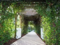 Welcome to Sunrise Island - 2 BR beachfront Condo