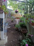 Pet Friendly San Anselmo Property in the Hills w/Hiking, Biking and Relaxation 브렛 하트 공원 주변 호텔