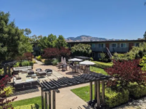 Walk Downtown • Work Here + Desk + Fast WiFi • King Bed • Remodeled Kitchen Hotels in Walnut Creek