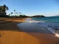 Million Dollar Views Oceanfront Studio at The Whaler in Ka'anapali