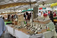 les Olivades Hotels in Cavaillon