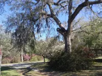 O'LE LADYBUG COTTAGE